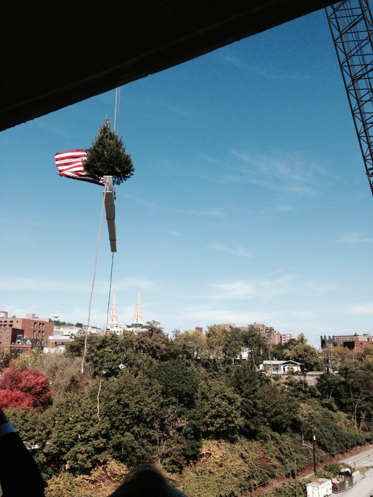 Embedded image permalink