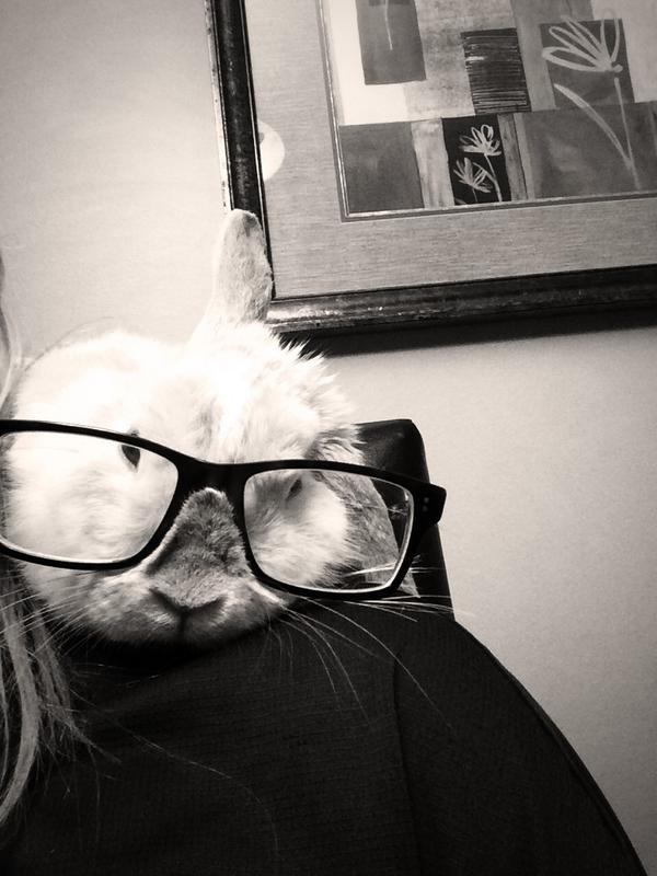 Riley Sharko tweet media