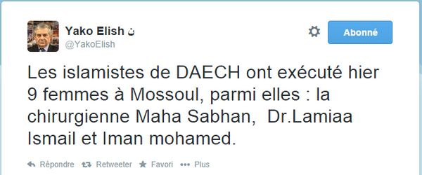 NicoHikona's tweet photo. Exécutions en masse, explosions... Le sort horrible des syrien(ne)s sous #Daesh raconté par @YakoElish :-(. http://t.co/qYgTftQCVE