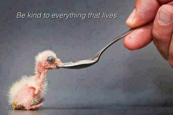 ThePushDaily's tweet photo. #thepushdaily #DivineSociety #enlightenedfamily #theglobalmovement http://t.co/0ZO4yFHVHX
