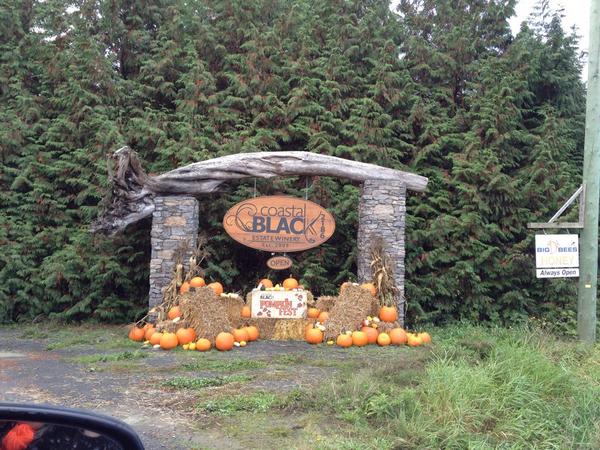 We're here <a href="/coastalblack/">Coastal Black Winery</a> Pumpkin Fest