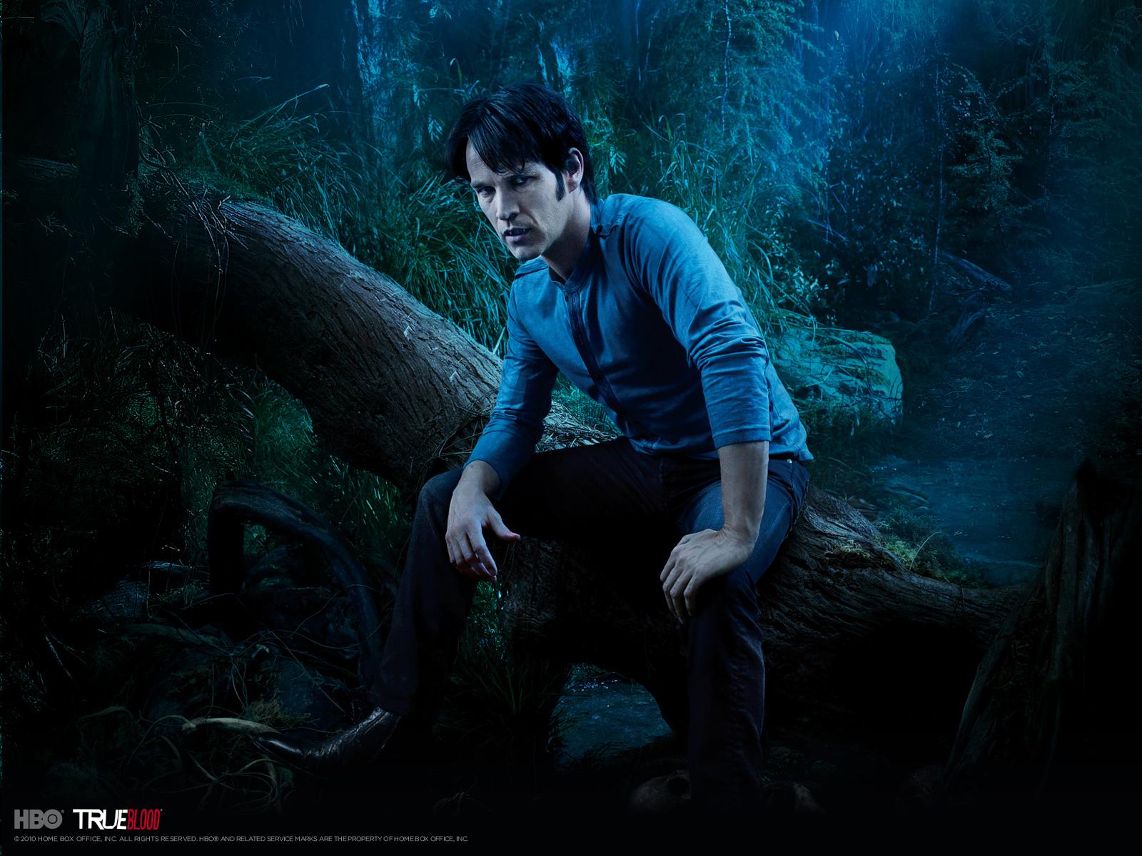 Happy Birthday Stephen Moyer!  