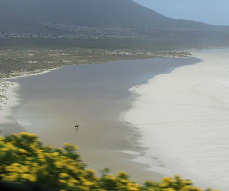luxurytravel's tweet photo. 3 nights in Cape Town and 10 things to do  http://t.co/ShXU5remuQ http://t.co/ojwcZSKW1p
