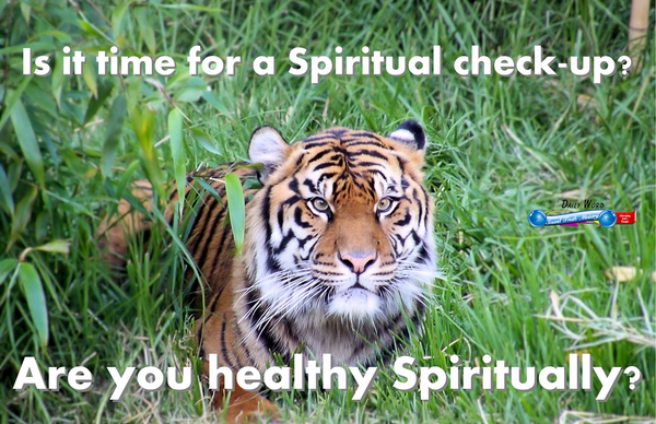 BishopPettiford's tweet image. wp.me/P4dhin-mC/#wiy…
#spiritualcondition #spiritualhealth
♥ When did you do/have your last 'Spiritual check-up'?