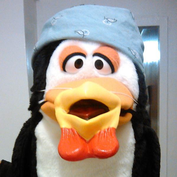ClocktownTV's tweet photo. Penguino is infected with Chicken Fever. Join ChickenMania. Get #infected. Bwaak. #chickenfever #penguin #bird #cute http://t.co/HuLPhlrLJd