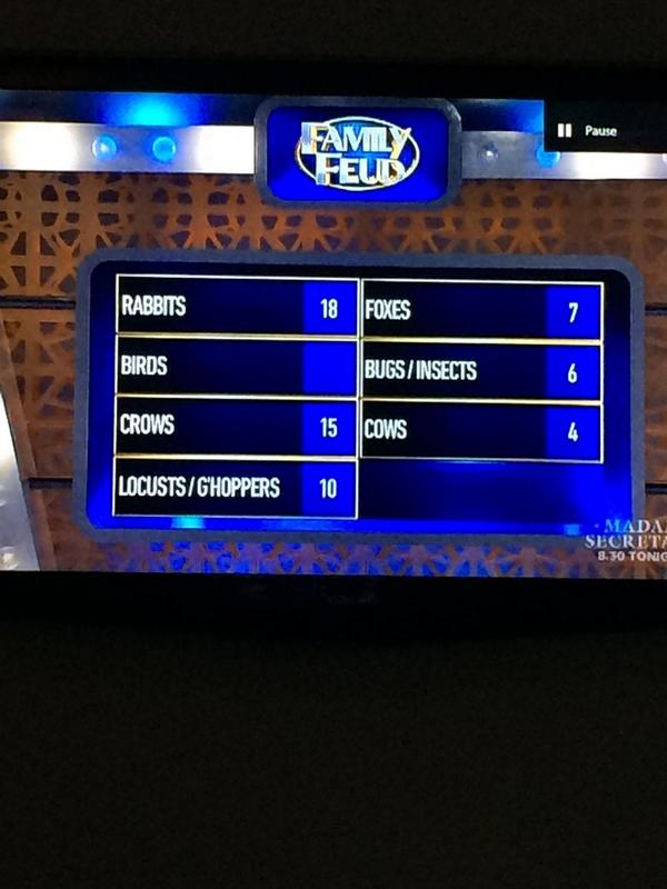 detroitcrawl's tweet image. @FamilyFeudAU @dainch What&apos;s the difference between a crow and bird. #dumbanswers