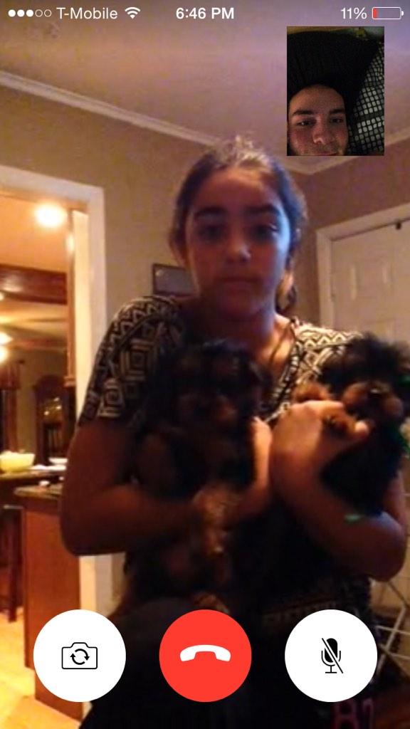 olliede53's tweet photo. Miss my little sister and can't wait to see these two new yorkie puppies soon๐ถ๐ถ #whenamicominghome ๐ http://t.co/hy5FcqzJEi