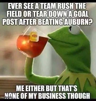 Obnoxious UA fan tweet media
