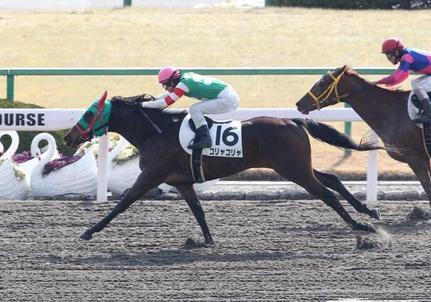 玉さん コリャコリャって名前の競走馬おった 可愛い こんなやつらしい Http T Co Azdzwqsdhr Twitter