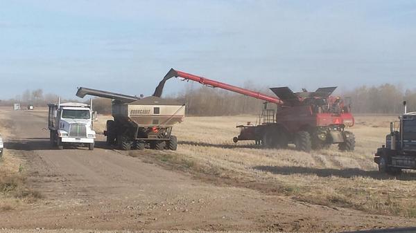 jsfbulls's tweet photo. @westernproducer #harvest14 Maidstone arena silver lake regional park donation land http://t.co/W4MUUh4a9I