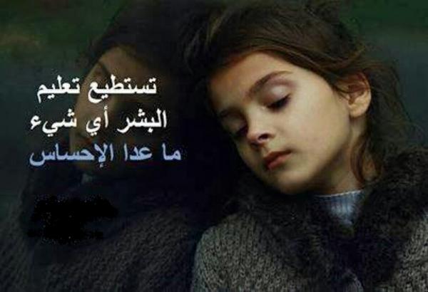 dodx7777 tweet picture