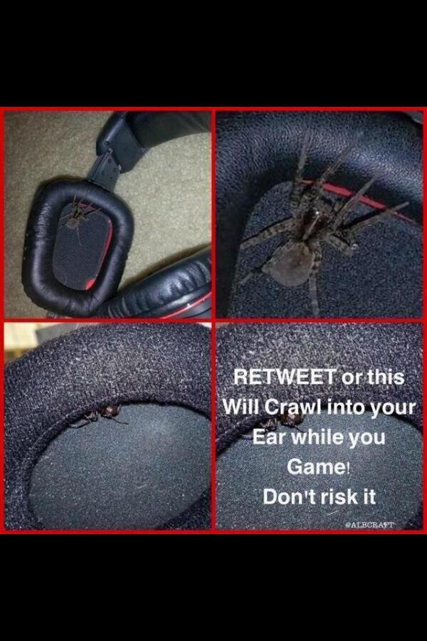 FaZeZeimzys's tweet image. @Acuwable @Mean_Chicks @_FaZeZeimzys