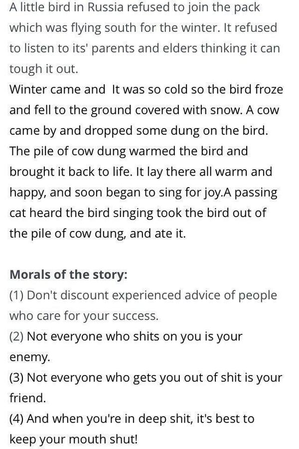 FerKlo87's tweet image. #SundayKnowledge"@LifeCheating: The Little Bird From Russia http://t.co/U31Sm2UsTH"