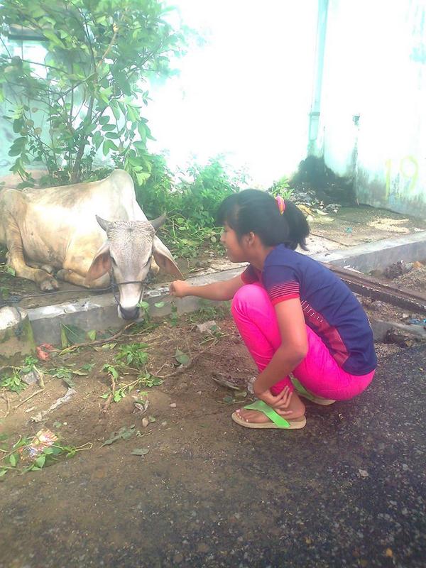IndahChiRieques's tweet photo. lagi kasi makan kurban,,,, http://t.co/WKbLyA9GMj