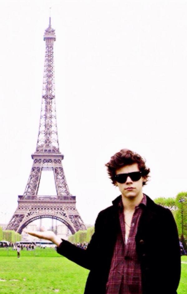 selenaamariex's tweet image. There's always two types of people in life 😅😂
#EMABiggestFans1D #