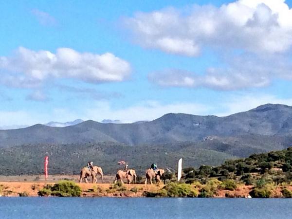 Not your average sweep vehicles here at the <a href="/Buffelsdrift/">.</a> prologue! #RacewithSoul #BuffelsBattle

Photo: <a href="/ZoonCronje/">Zoon Cronje</a>