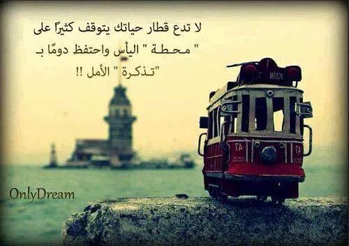 سيوفي قاهرهم  (@saefsaefsa) on Twitter photo 