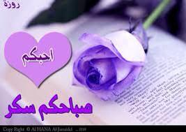 "<a href="/roorail1997/">نورعلي</a>: "صباح الورد