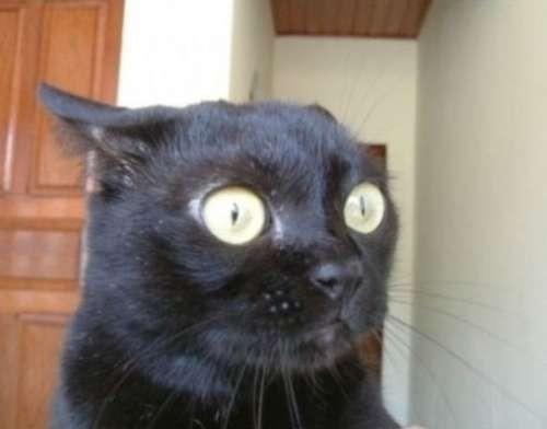 __whenbae___'s tweet image. When bae says "we need to talk."