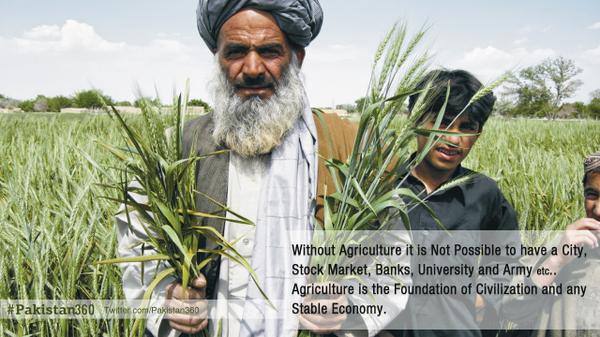 Pakistan360's tweet photo. Agriculture is the Foundation of Civilization and any Stable Economy. 
#Glorious #Pakistani http://t.co/0coiRs2189
