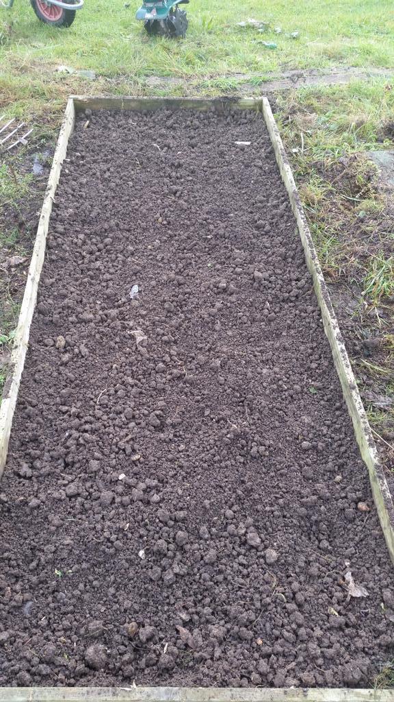 Before , dug and then rotavated.  Considering was heavy clay turf 2 yrs  ago. have a good soil structure  now!