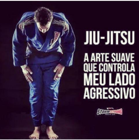 Junior Andrade on X: 'A arte e suave mas o sistema e bruto' Jiu jitsu my  life  / X
