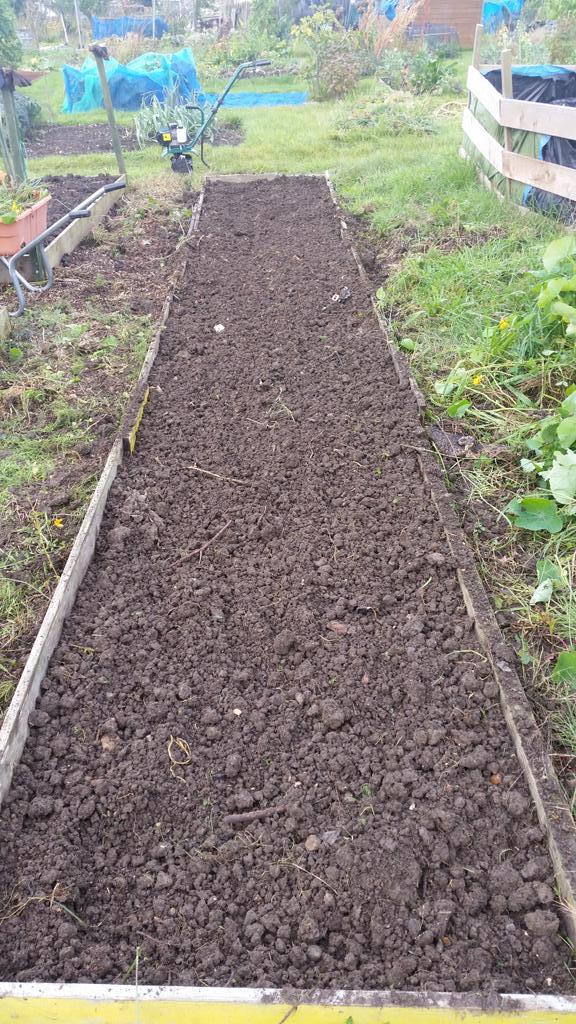 Done! That was a hard dig . And then the rotavator did it's thang.  V happy as makes short work of v heavy clay soil