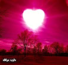 Pointed Pointed tweet media