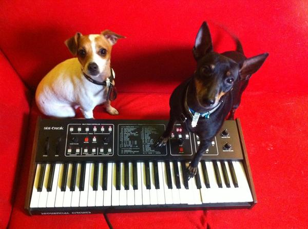 Parralox's tweet photo. Synth of the week #41 - Six-Trak by Sequential Circuits #howmuchisthatdoggyonthesyntho #synth #sixtrak http://t.co/HJMppBHArW