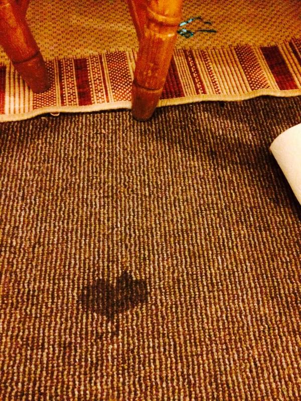 I did a heart shaped wee #love #dogs