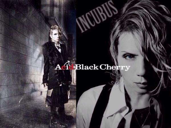 ｸﾛ A Twitter Abc密会 Abcのアルバム買う人rt アルバム楽しみの人rt 密会参加した人はrt Acidblackcherry Incubus Yasuに抱かれたい Yasuさんの優しさ再認識 幸せだ Http T Co Wt0sanydis