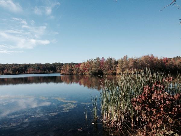MichelePaul_'s tweet image. Beautiful Fall Foliage @manasquanresevoir #jgssm