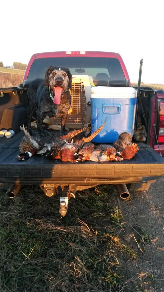 perchman4's tweet photo. Had a good opener. #WhatGetsYouOutdoors http://t.co/XNSBL6Lh5Q