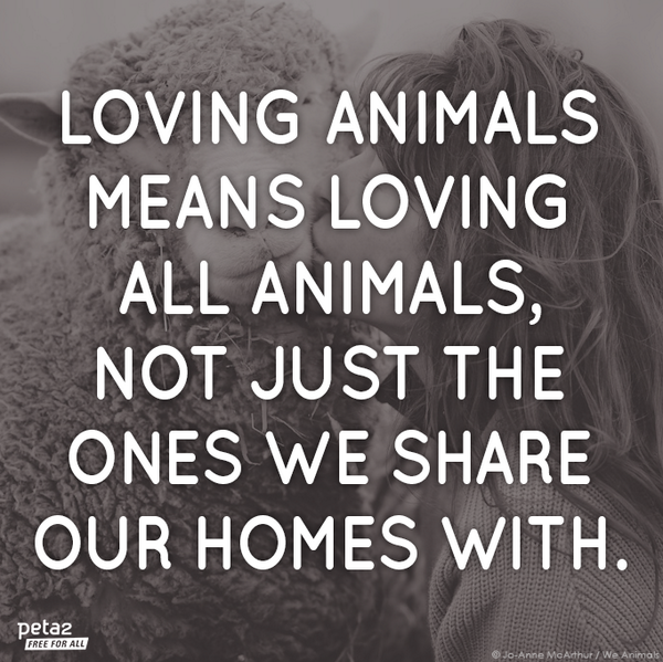 PETAShares's tweet photo. RT if you agree❤ http://t.co/v3ZLZebdws