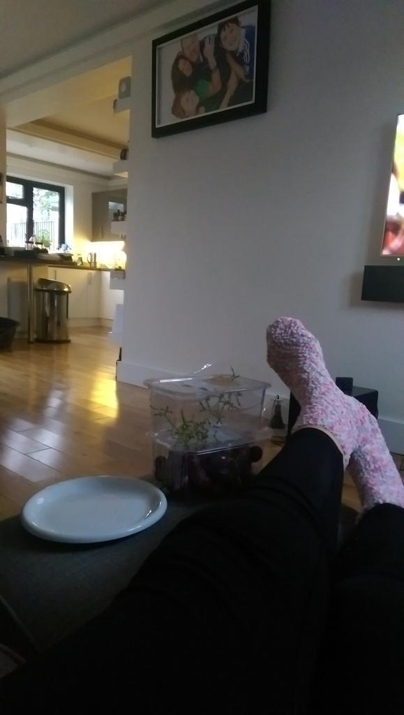 Mammagee66's tweet photo. Not moved all afternoon ...... #dizzyme http://t.co/h69kMBn3K0