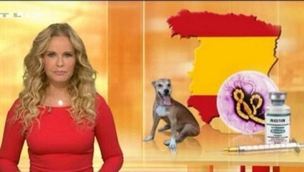 informativost5's tweet photo. La televisión alemana RTL informa del ébola con un mapa de España sin Cataluña http://t.co/BTM2bNzfzt  #Ebola http://t.co/AvHh60tE5Y