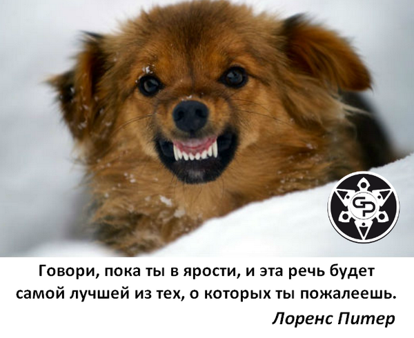 #развитие@at_globalpromotion_official #цитата@at_globalpromotion_official official

Говори, п�
