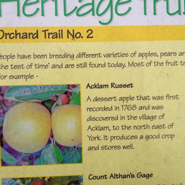 Couldn't believe this when i seen it apple has its own type of apple  check out the photo