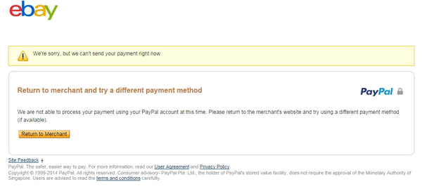 kellie yong tweet media