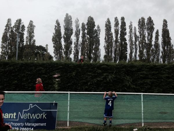 Fareham Town Youth tweet media