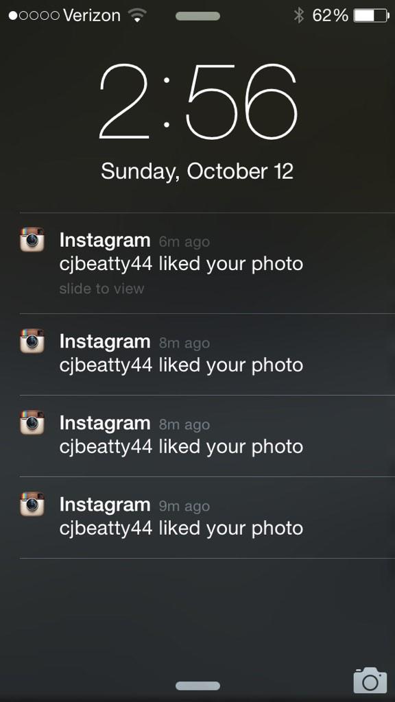 Txertatutako irudiaren behin betiko esteka