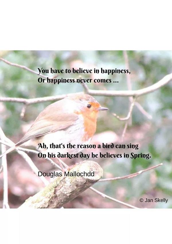 B_1nspired's tweet photo. #nature #happiness #abirdcansing #photography http://t.co/pFPSNVoSu9
