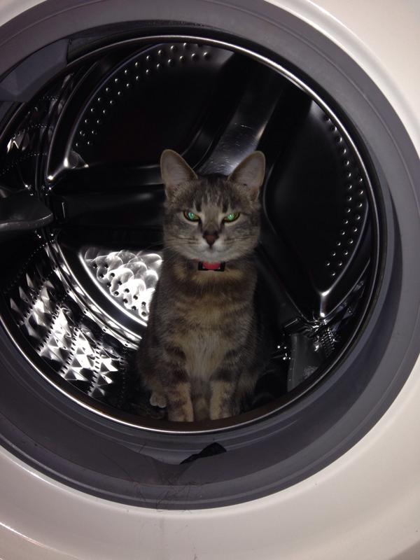Glieps's tweet photo. « I'm goin' to kill you in your sleep » #CestMONChat http://t.co/F5qmRmWvlf