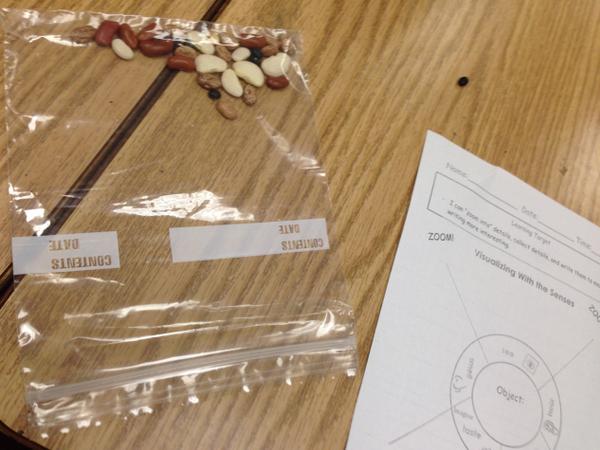 MsPalmersClass's tweet image. Students &quot;zoomed in&quot; on objects and used senses to notice details  #writingworkshop #lucycalkins #elementarywriting