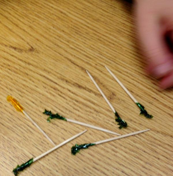 MsPalmersClass's tweet image. Some students zoomed in and collected details about toothpicks! #writingworkshop #lucycalkins #elementarywriting