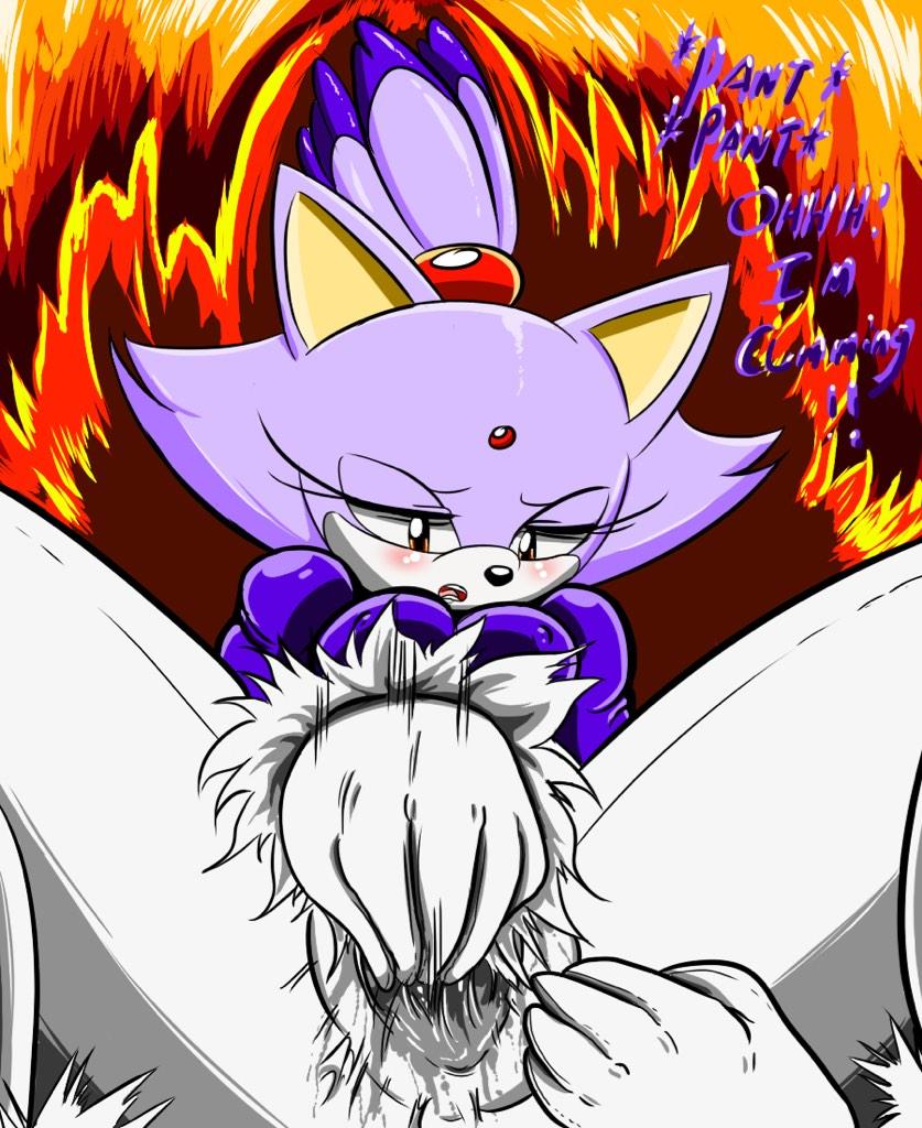 Blaze the cat on Twitter.