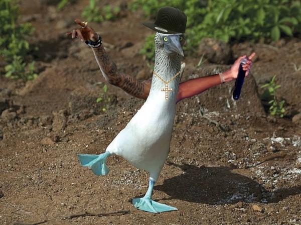 todayenough's tweet image. What even