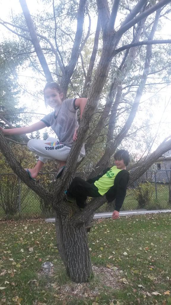 CatPerrin's tweet image. It's a thanksgiving kind of day #lovemykids