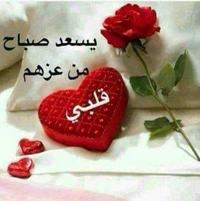 nedo_84's tweet photo. http://t.co/FM4z4EuYX6
