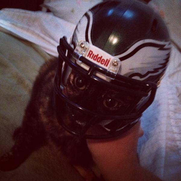 francisne's tweet photo. @everaldomarques a minha gata ta gengibre tá pronta pra #ESPNtemNFL http://t.co/WEvO2UVFvw